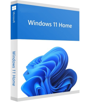 Windows_11_Home-1-min